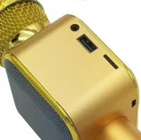 Wster WS-1818 Bluetooth USB AUX FM Wireless Karaoke Microphone with Built-in Speaker and Battery Powered Voice Changer with Case Gold