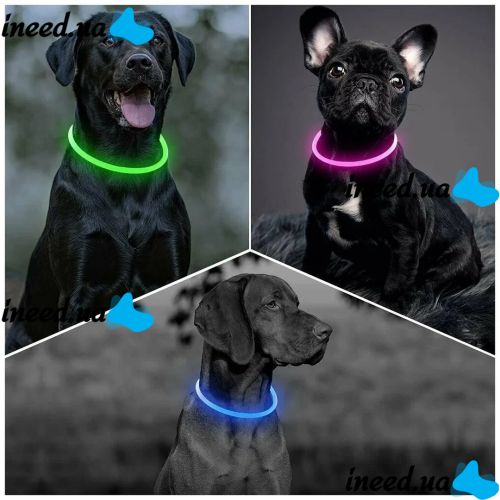 Universal Luminous Dog Collar Trox TR-70, Rechargeable Neon Adjustable Dog Collar for Dogs, Cats, and Other Animals