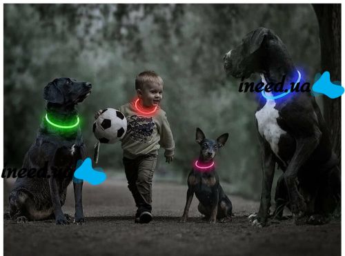 Universal Luminous Dog Collar Trox TR-70, Rechargeable Neon Adjustable Dog Collar for Dogs, Cats, and Other Animals