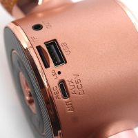 Беспроводной bluetooth микрофон для караоке WS668 с чехлом