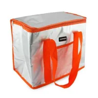 Туристическая термосумка Sannen Cooler Bag MC-1059 на 25 л для продуктов и напитков 37x20x34 см Походный переносной термобокс холодильник для пикника