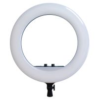 Studio Ring LED Lamp Ring Fill Light RL-21 60W with Tripod 54cm 21" Professional LED for Photo, Selfie Ring with Remote Control and Bag