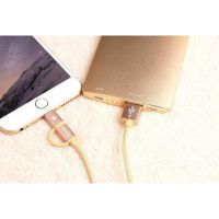 Кабель, шнур Awei CL-930C 2 в 1 Lightning и Micro USB, серебристый