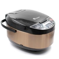 Мультиварка Domotec MS-7723 900W Gold Steel с фритюрницей на 5 литров 11 программ