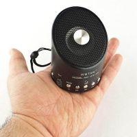 Мини портативная MP3 колонка от USB FM WS-A9