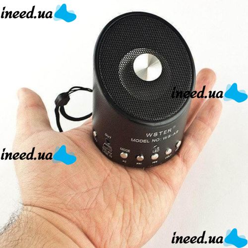 Мини портативная MP3 колонка от USB FM WS-A9
