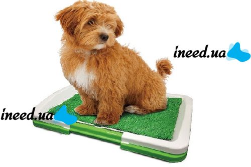 Трехуровневый туалет для собак Puppy Potty Pad 872, Открытый лоток с имитацией травы для животных 47х34х6 см