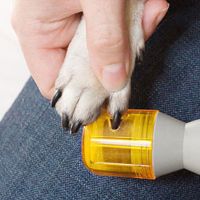 Триммер для когтей Pedi Paws ( Педи Паус ) пилка для когтей животных PediPaws