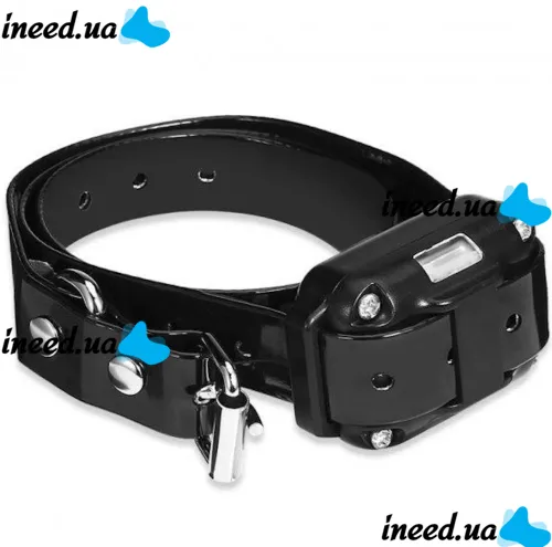 Електричний нашийник dog Training Collar DTC-800 анти гавкіт з пультом управління для контролю і дресирування собак, дресирувальний електронашийник