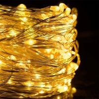 Внутренняя светодиодная гирлянда Конский хвост 200LED диодов 2 м 10 нитей Теплый белый для дома гирлянда роса 10 струн по 2 метра USB Теплая белая