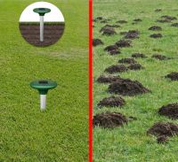 Repeller of moles and rodents on a solar battery Solar Rodent Repeller ultrasonic device mole repeller for repelling pests 6X3.5 cm