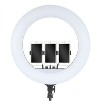 Studio Ring LED Lamp Ring Fill Light RL-21 60W with Tripod 54cm 21" Professional LED for Photo, Selfie Ring with Remote Control and Bag