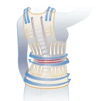 Фиксирующий корректор правильной осанки Back Pain Need Help Грудопоясничный корсет для выравнивания спины и плеч, бандаж, жилет пояс для позвоночника
