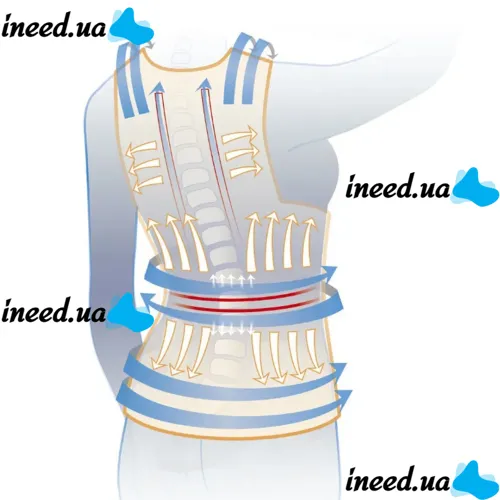 Фиксирующий корректор правильной осанки Back Pain Need Help Грудопоясничный корсет для выравнивания спины и плеч, бандаж, жилет пояс для позвоночника