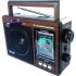 Golon RX-9966UAR Portable Radio Receiver, Cordless Rechargeable, Golon Radio Receiver