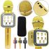 Wster WS-1818 Bluetooth USB AUX FM Wireless Karaoke Microphone with Built-in Speaker and Battery Powered Voice Changer with Case Gold