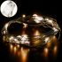 Inner Garland Dew Warm White 3M Thread Dew Drop on Copper Wire 30 Diodes, LED LED Christmas Garland-Thread on Batteries WW