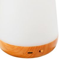 Сенсорный аккумуляторный светильник ночник Taipow JK-S050 с RGB подсветкой и пультом ДУ, Настольная лампа с сенсорным управлением HA-114 от USB