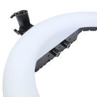 Studio Ring LED Lamp Ring Fill Light RL-21 60W with Tripod 54cm 21" Professional LED for Photo, Selfie Ring with Remote Control and Bag
