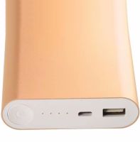 Портативное зарядное устройство Xiaomi MI Power Bank 20800 mAh внешний аккумулятор, зарядка для телефона IOS Android повербанк 2.1А USB Золотой