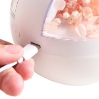 Аккумуляторный увлажнитель воздуха Poke Ball Flower Humidifier OFAN-505 с цветами и LED подсветкой, Настольный аромадиффузор ночник 220мл от USB