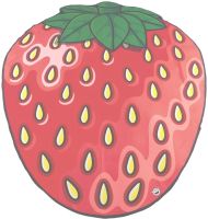 Bigmouth Beach Blanket Strawberry YX0012 3D Beach Blanket Lint Free Beach Mat 152x122cm Picnic and Beach Towel Strawberry