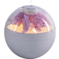 Аккумуляторный увлажнитель воздуха Poke Ball Flower Humidifier OFAN-505 с цветами и LED подсветкой, Настольный аромадиффузор ночник 220мл от USB