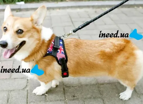 Нейлоновая шлейка жилет для выгула собак, щенков Dog Harness Set нагрудный регулируемый ремень для животных с грудным обхватом для домашних питомцев