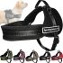 Нейлонова шлейка для собак Sports Dog Harness Set нагрудний регульований ремінь для тварин, повідець жилет з грудним обхватом для вигулу собак