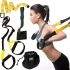 Training Suspension Loops TRX Pro Fit Studio Suspension Straps for Strength Training Crossfit, Fitness and Full Body Horizontal Bar TRX Lumo Yellow