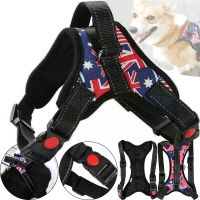Нейлоновая шлейка жилет для выгула собак, щенков Dog Harness Set нагрудный регулируемый ремень для животных с грудным обхватом для домашних питомцев