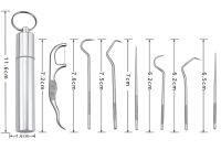 Dental Toothpick Set 7 in 1 Portable Set of Dental Cleaning Tools for Oral Care in a Metal Case