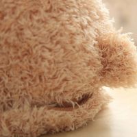 Soft Children's Toy Peekaboo Bear Teddy Bear 33 cm Musical Interactive Playing Hide-and-seek Talking Bear from 6 months Old Peekaboo Beige 