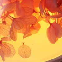 Аккумуляторный увлажнитель воздуха Poke Ball Flower Humidifier OFAN-505 с цветами и LED подсветкой, Настольный аромадиффузор ночник 220мл от USB