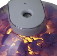 Аккумуляторный увлажнитель воздуха Poke Ball Flower Humidifier OFAN-505 с цветами и LED подсветкой, Настольный аромадиффузор ночник 220мл от USB