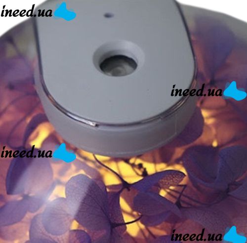 Аккумуляторный увлажнитель воздуха Poke Ball Flower Humidifier OFAN-505 с цветами и LED подсветкой, Настольный аромадиффузор ночник 220мл от USB