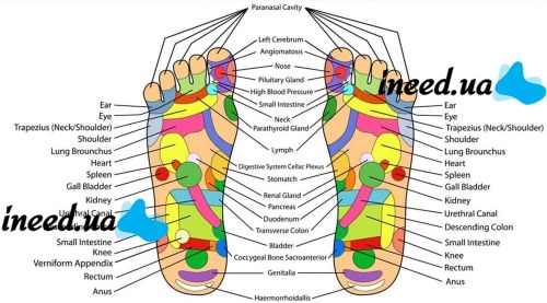 Ортопедический акупунктурный массажный коврик Acupressure Mat для спины, головы, шеи, ног, стоп, аппликатор Кузнецова для игольчатого массажа тела